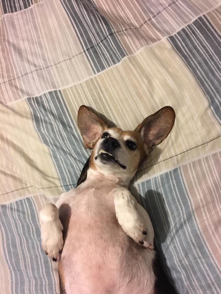 Good day to relax!